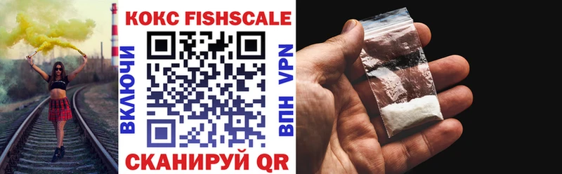 Купить закладки  Покачи  Cocaine Fish Scale 